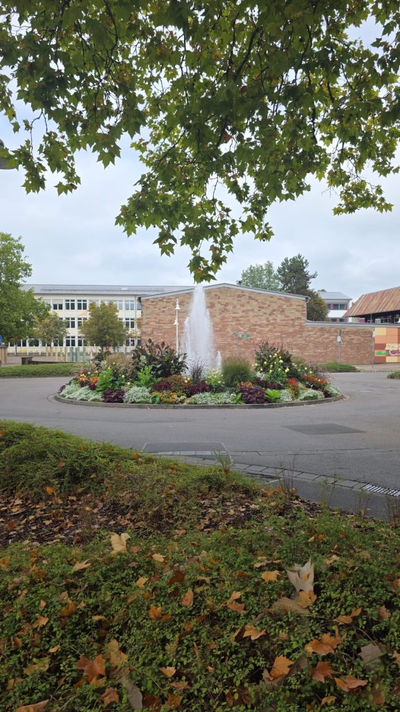 Gebäudereinigung Saarlouis